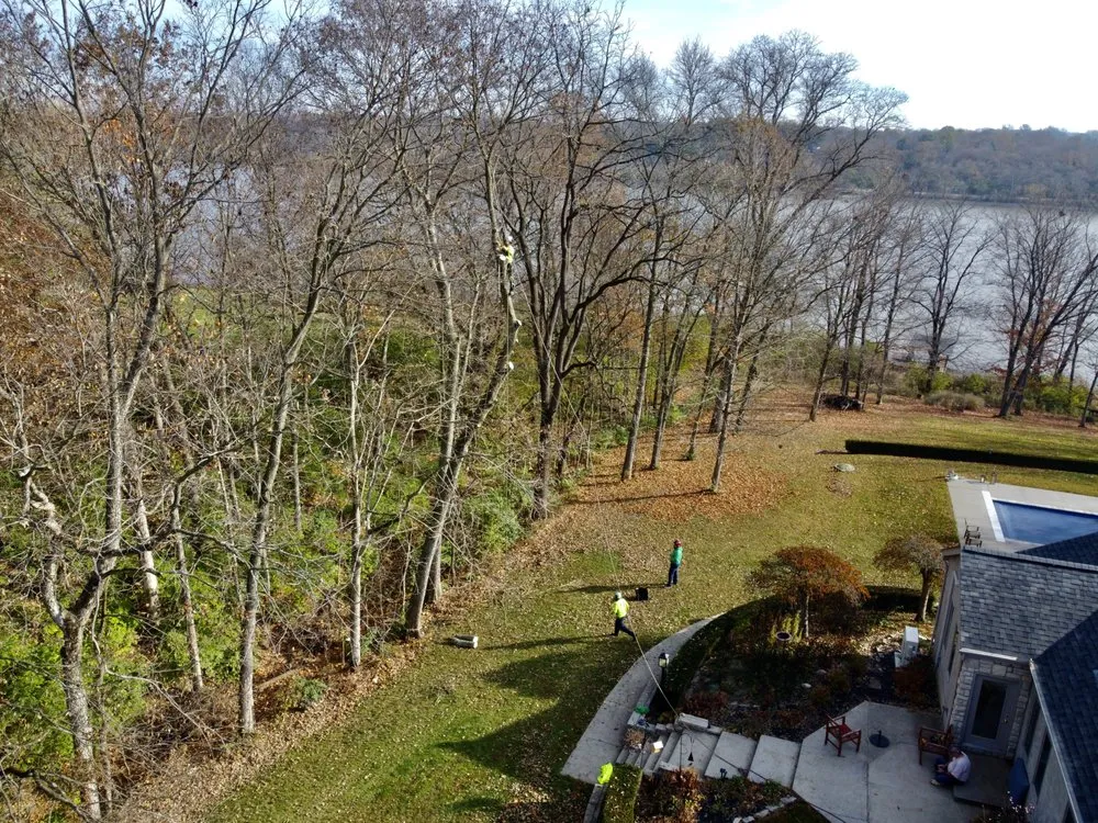 Affordable landscaping services experts serving Delaware, OH - Great Dane Tree Experts & Landscaping