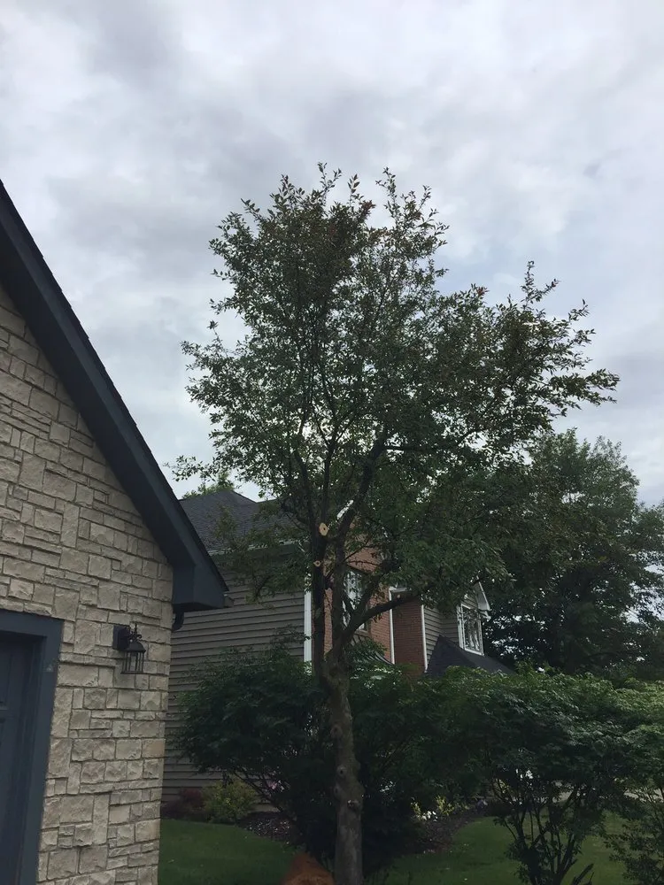 Reliable lawn care service for residential properties across Delaware, OH - Great Dane Tree Experts & Landscaping