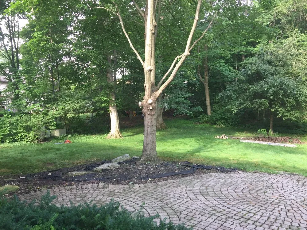 Affordable landscape installation in Delaware, OH - Great Dane Tree Experts & Landscaping