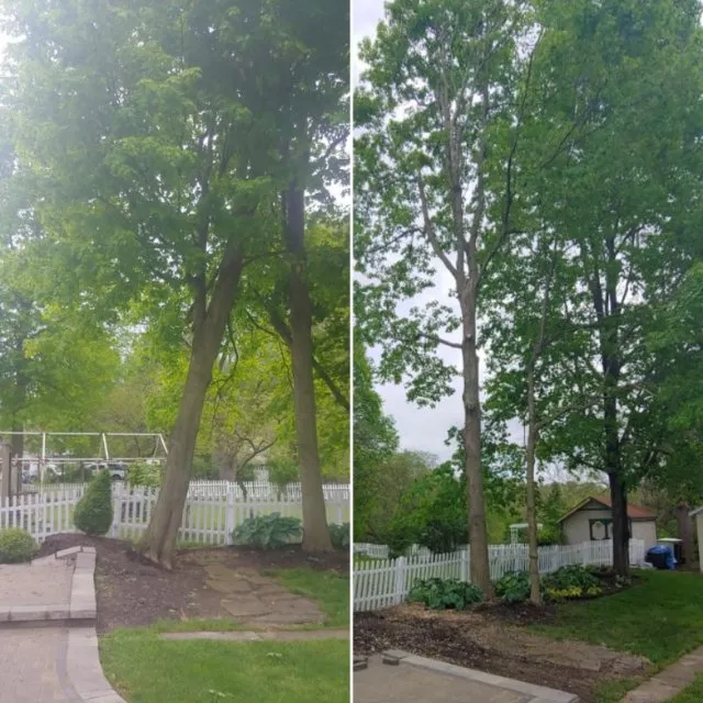Affordable landscaping services experts serving Delaware, OH - Great Dane Tree Experts & Landscaping