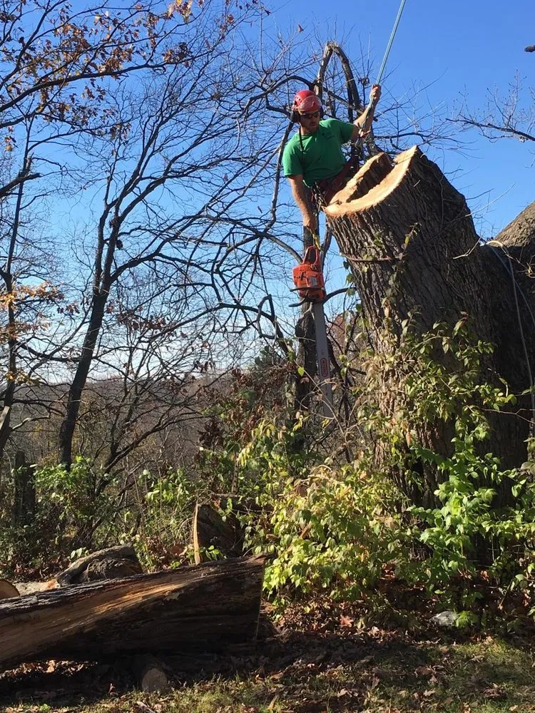 Affordable residential landscaping in Delaware, OH by Great Dane Tree Experts & Landscaping