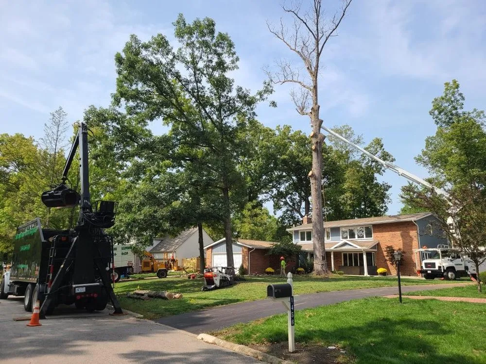 Reliable residential landscaping in Delaware, OH - Great Dane Tree Experts & Landscaping