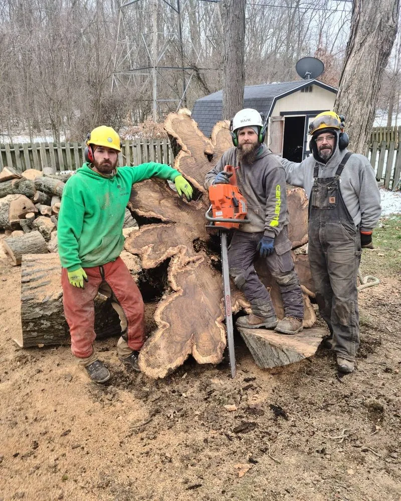 Local landscape installation in Delaware, OH - Great Dane Tree Experts & Landscaping