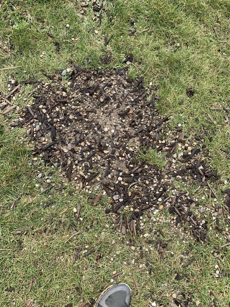 Reliable yard cleanup service experts serving Brighton, MI - Great Deal Products