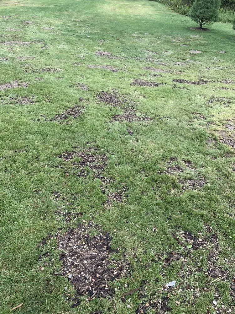 Trusted landscaping services experts serving Brighton, MI - Great Deal Products