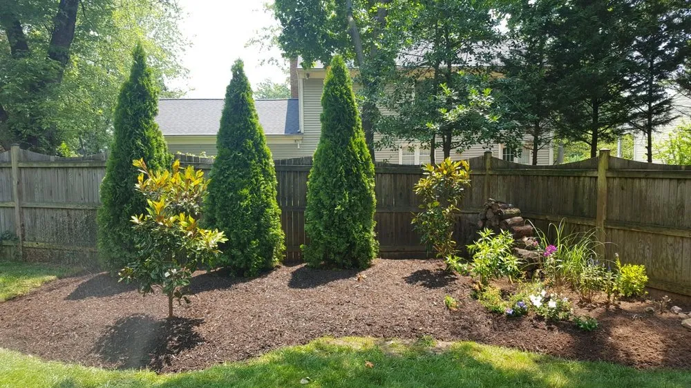 Expert yard maintenance for year-round maintenance in Manassas, VA by Great Escapes Lawn & Landscape