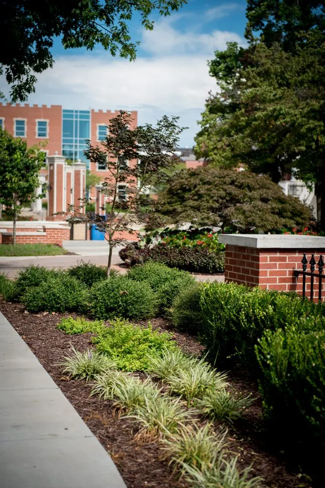 Trusted lawn care service near you in Covington, GA by Great Estates Landscaping