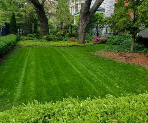 Trusted outdoor landscaping for year-round maintenance across Fuquay-Varina, NC - Great Expectations Lawn and Landscape