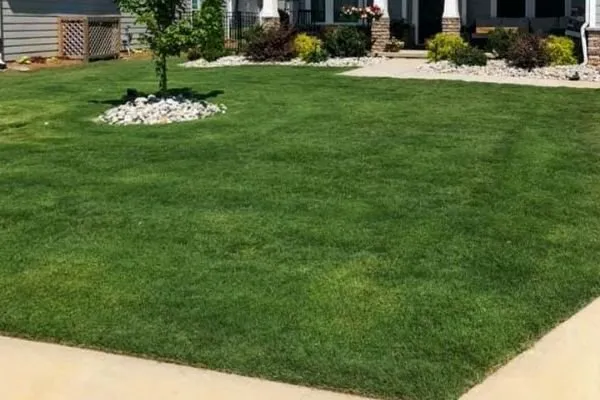 Local yard cleanup service in Fuquay-Varina, NC - Great Expectations Lawn and Landscape