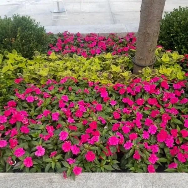 Professional landscape design experts serving Fuquay-Varina, NC - Great Expectations Lawn and Landscape
