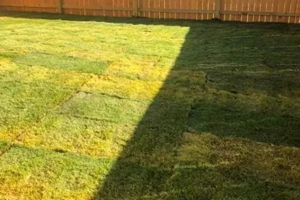 Local lawn care service experts serving Fuquay-Varina, NC - Great Expectations Lawn and Landscape