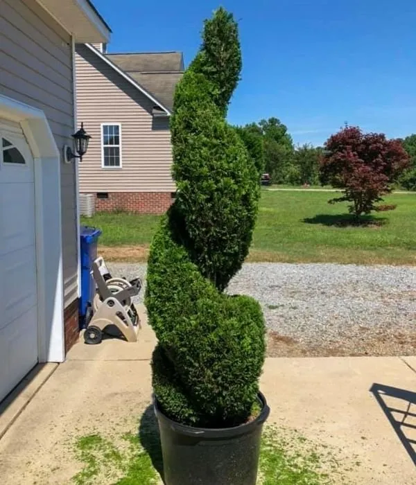 Professional yard cleanup service experts serving Fuquay-Varina, NC - Great Expectations Lawn and Landscape