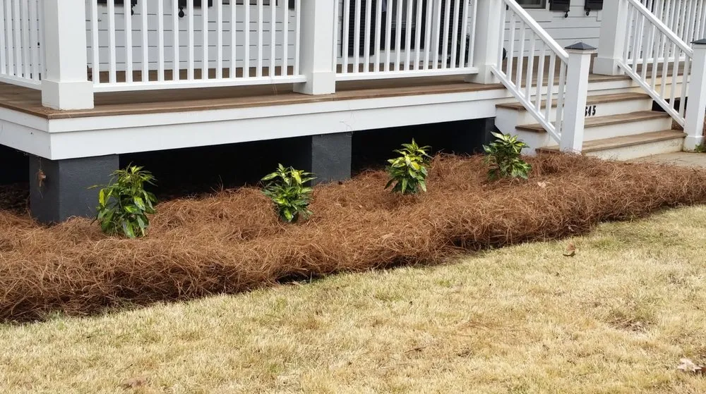 Affordable lawn care service near you across Chapin, SC - Great Expectations Lawn Care