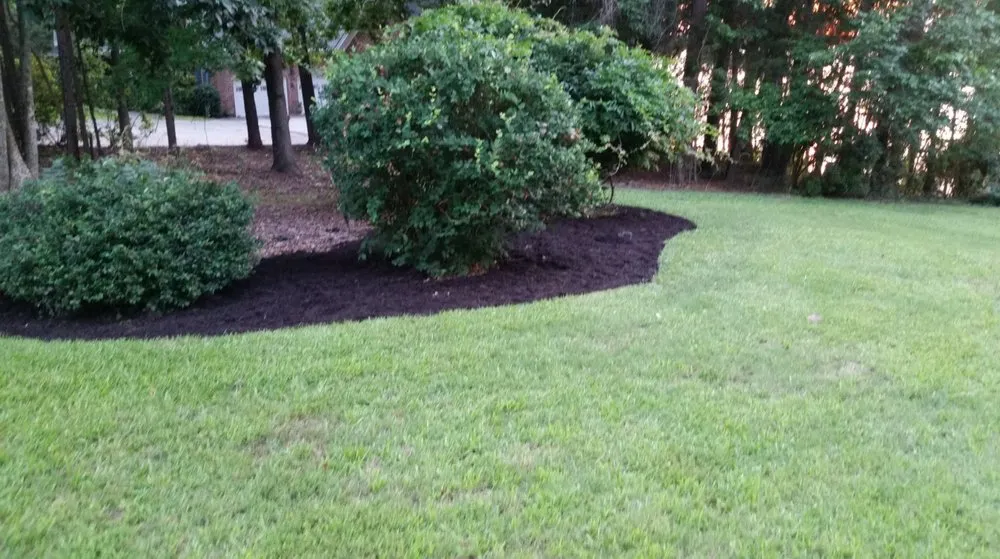 Local yard cleanup service in Chapin, SC - Great Expectations Lawn Care