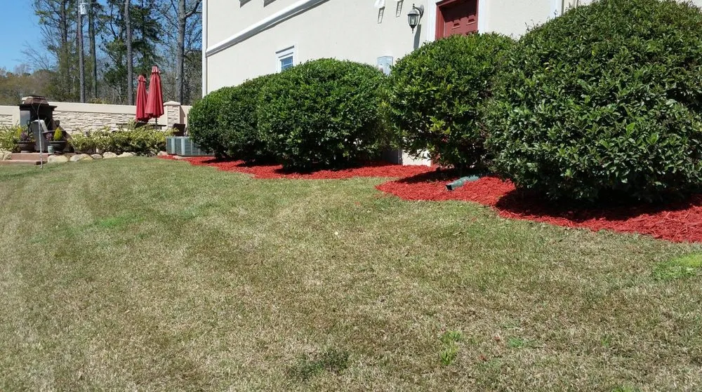 Top-rated outdoor landscaping with custom design across Chapin, SC - Great Expectations Lawn Care