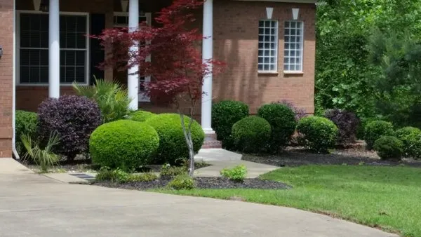 Great Expectations Lawn Care Logo