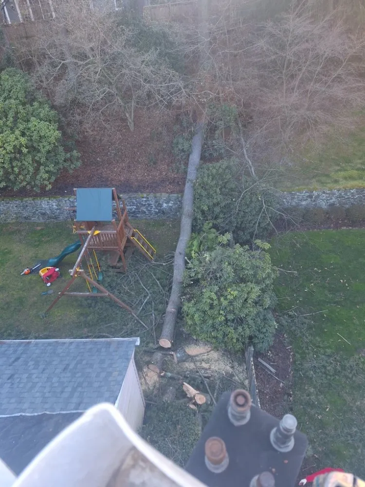 Trusted landscape design in Hillsboro, VA - Great Falls Tree & Landscaping