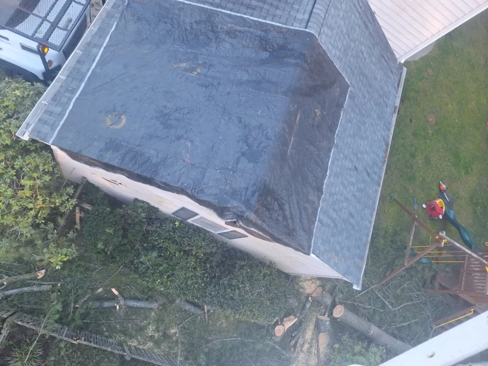 Professional yard cleanup service in Hillsboro, VA by Great Falls Tree & Landscaping