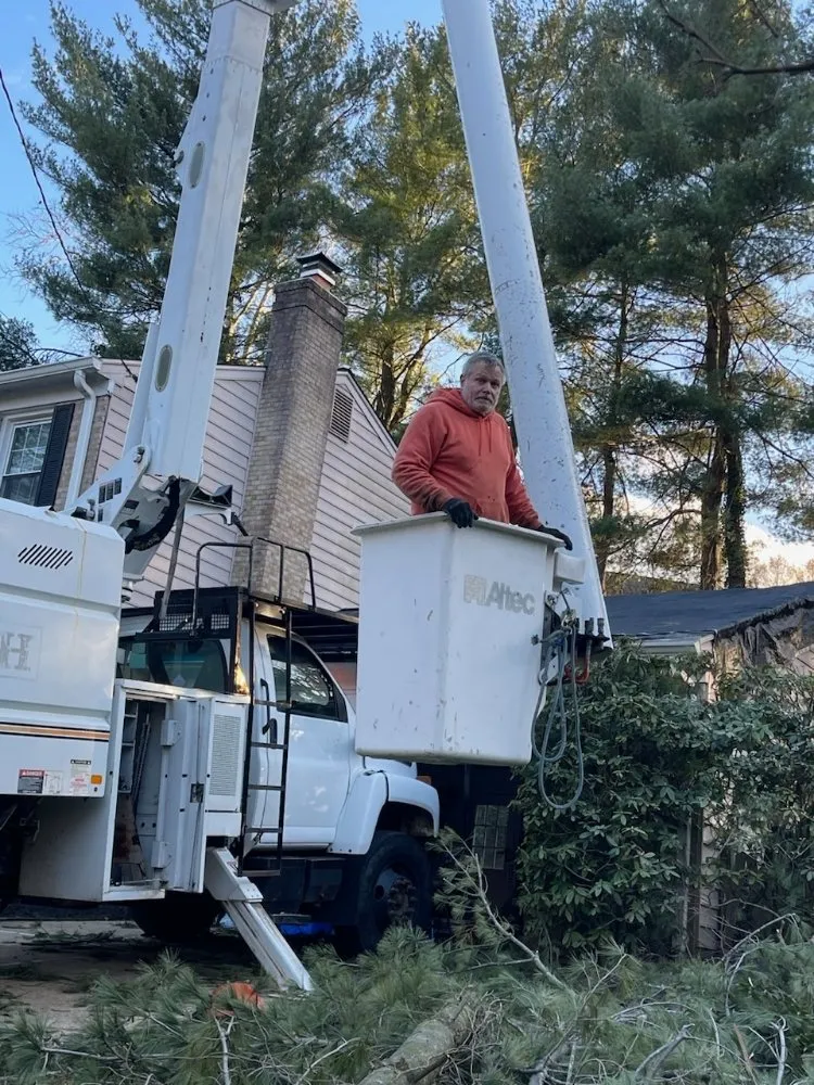 Affordable yard cleanup service experts serving Hillsboro, VA - Great Falls Tree & Landscaping