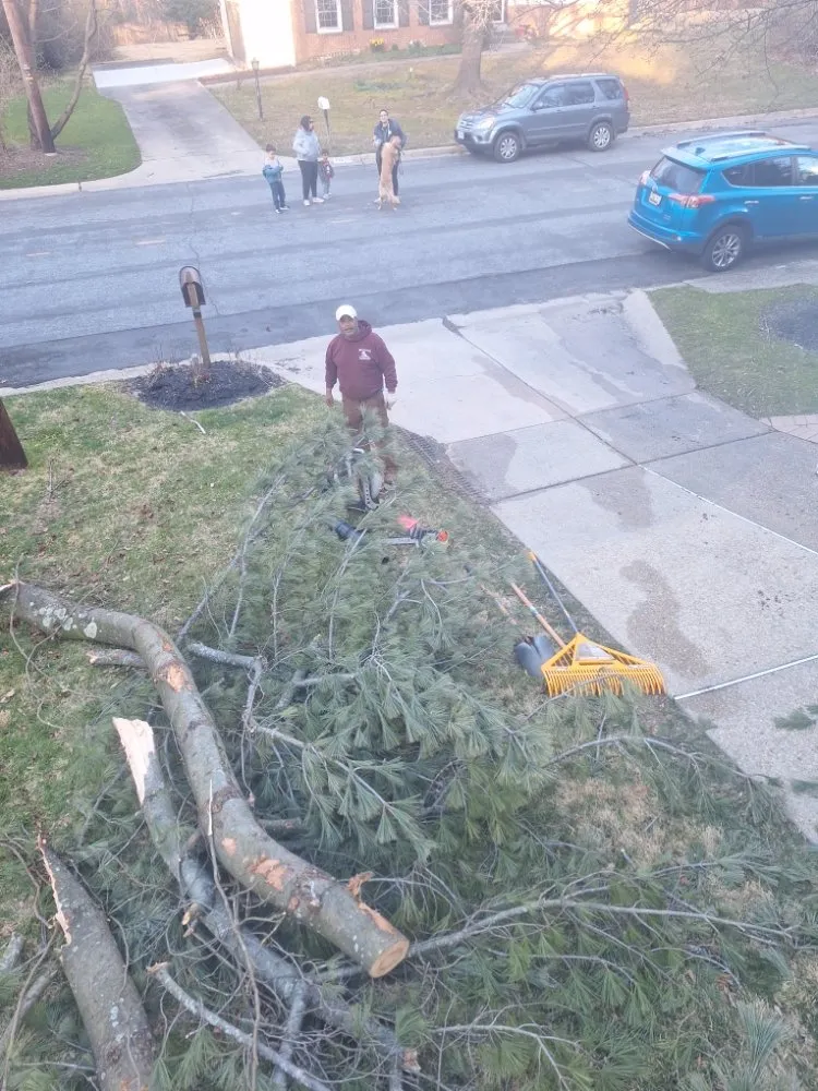 Expert landscaping services for residential properties in Hillsboro, VA by Great Falls Tree & Landscaping