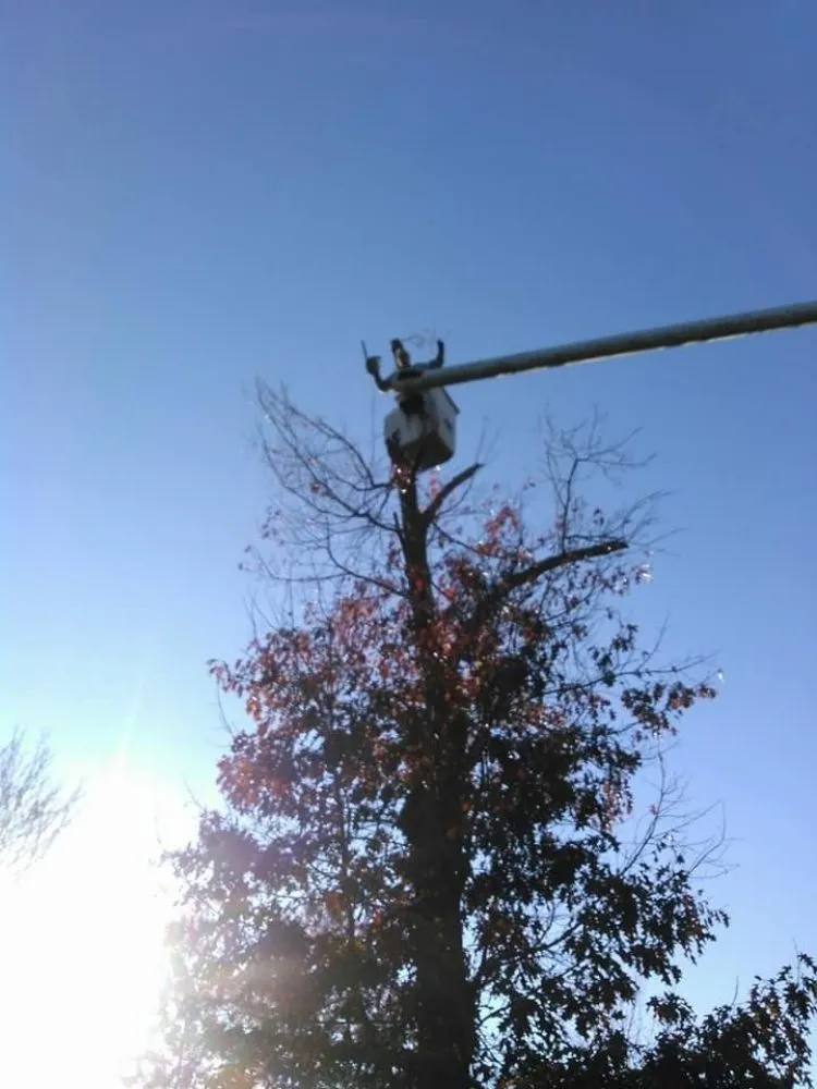 Trusted residential landscaping for residential properties across Hillsboro, VA - Great Falls Tree & Landscaping