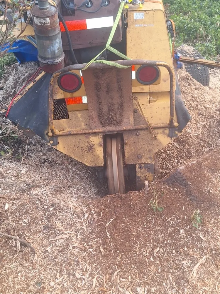 Reliable lawn care service in Hillsboro, VA by Great Falls Tree & Landscaping