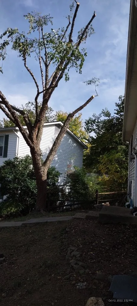 Reliable lawn mowing service in Hillsboro, VA by Great Falls Tree & Landscaping