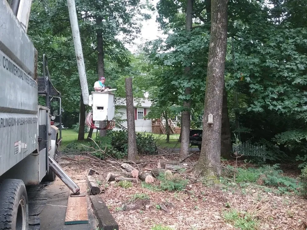 Reliable yard cleanup service for beautiful yards in Hillsboro, VA by Great Falls Tree & Landscaping