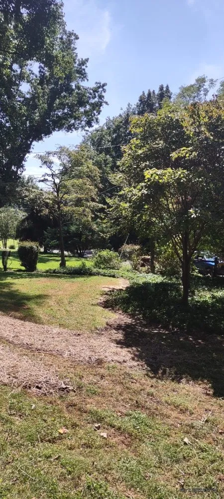 Local lawn mowing service experts serving Hillsboro, VA - Great Falls Tree & Landscaping