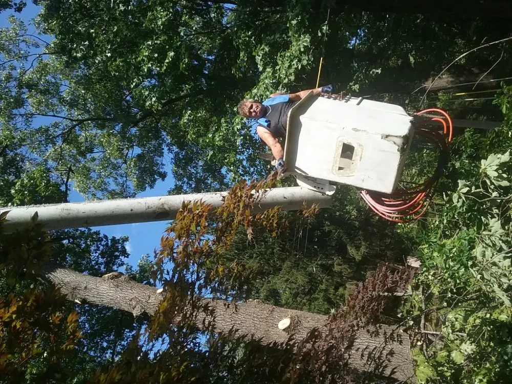 Professional residential landscaping in Hillsboro, VA - Great Falls Tree & Landscaping