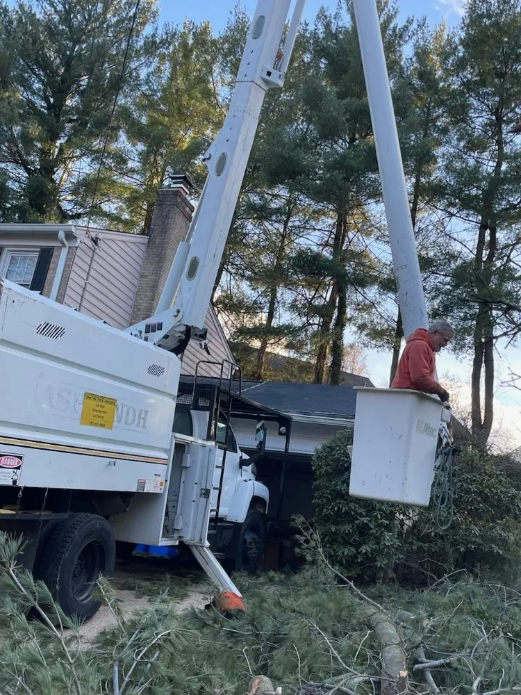 Top-rated landscape installation for homes across Hillsboro, VA - Great Falls Tree & Landscaping