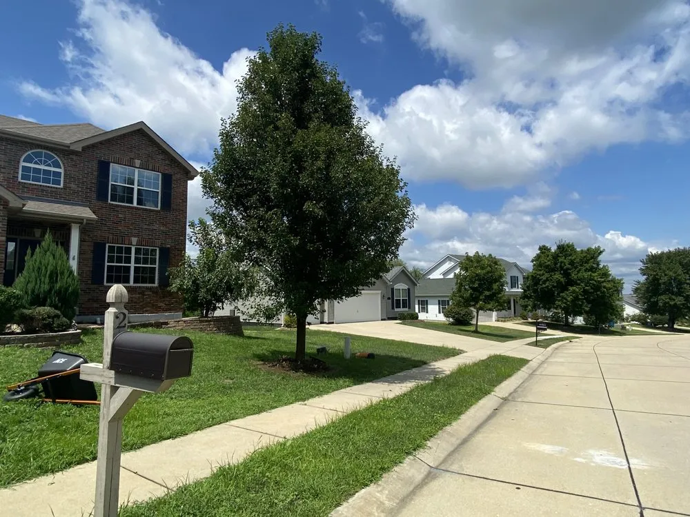 Professional yard cleanup service experts serving Marble Hill, MO - Great Gardens Landscaping And More