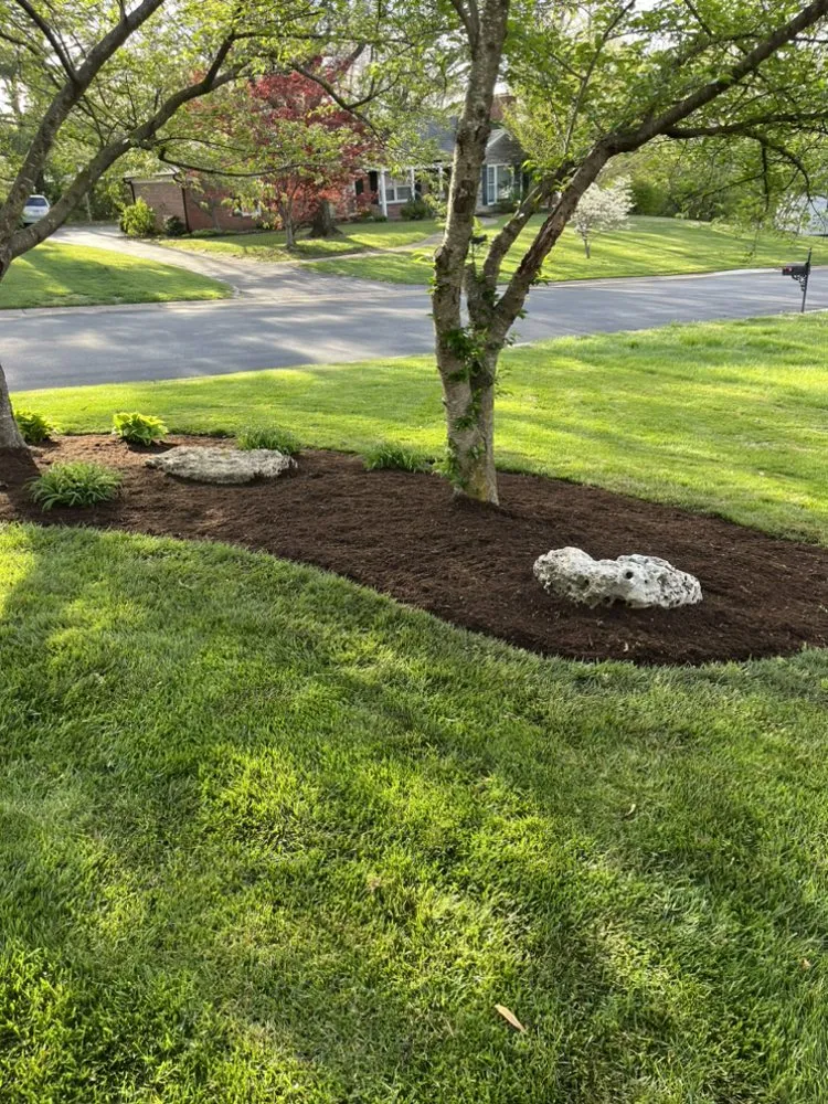 Trusted landscape installation experts serving Marble Hill, MO - Great Gardens Landscaping And More