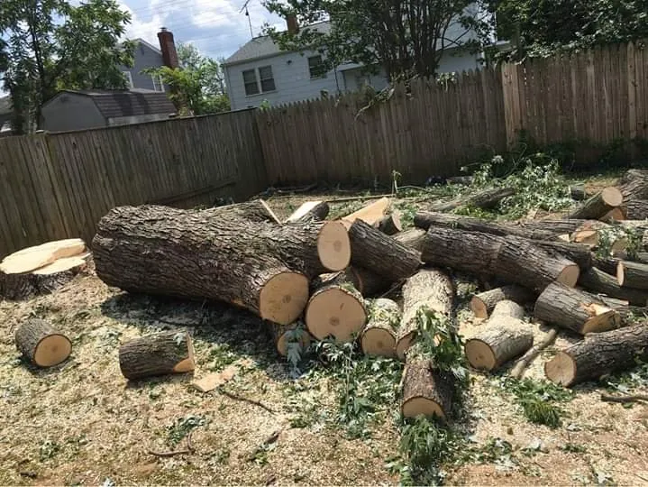 Affordable lawn mowing service in Gaithersburg, MD by Great Gardens Landscaping