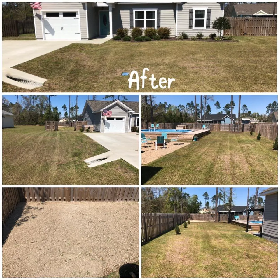 Affordable yard cleanup service in Crawfordville, FL by Great Grass Groomers