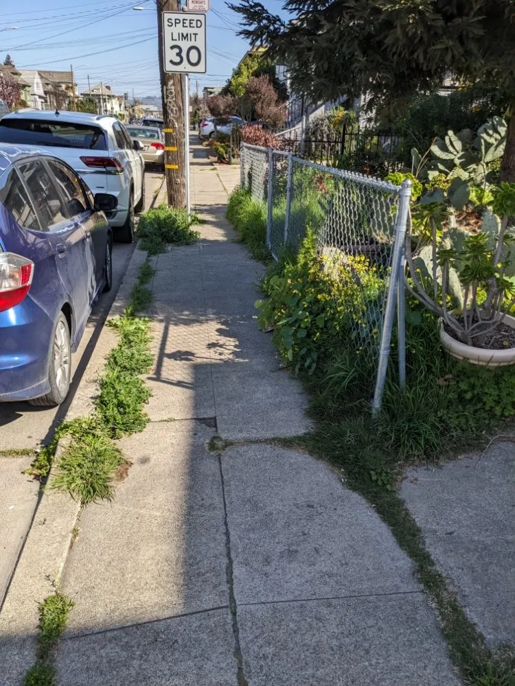 Reliable yard maintenance experts serving Richmond, CA - Great Green Gardening Service