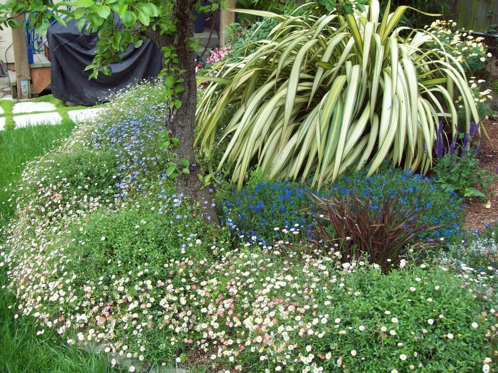 Custom lawn care service for beautiful yards across Richmond, CA - Great Green Gardening Service