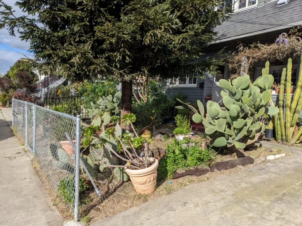 Trusted landscape design in Richmond, CA - Great Green Gardening Service