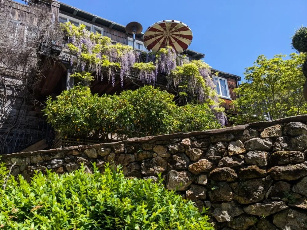 Local lawn care service near you across Richmond, CA - Great Green Gardening Service