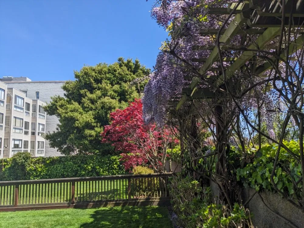 Trusted garden landscaping in Richmond, CA by Great Green Gardening Service