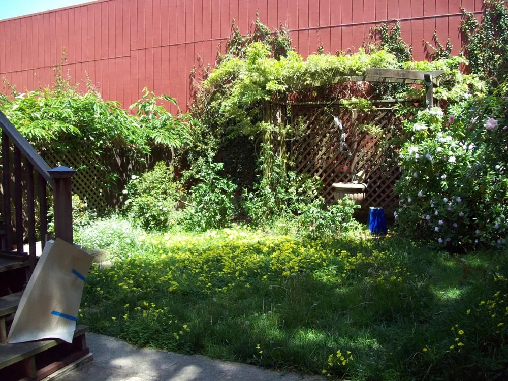 Local lawn mowing service for outdoor upgrades in Richmond, CA by Great Green Gardening Service