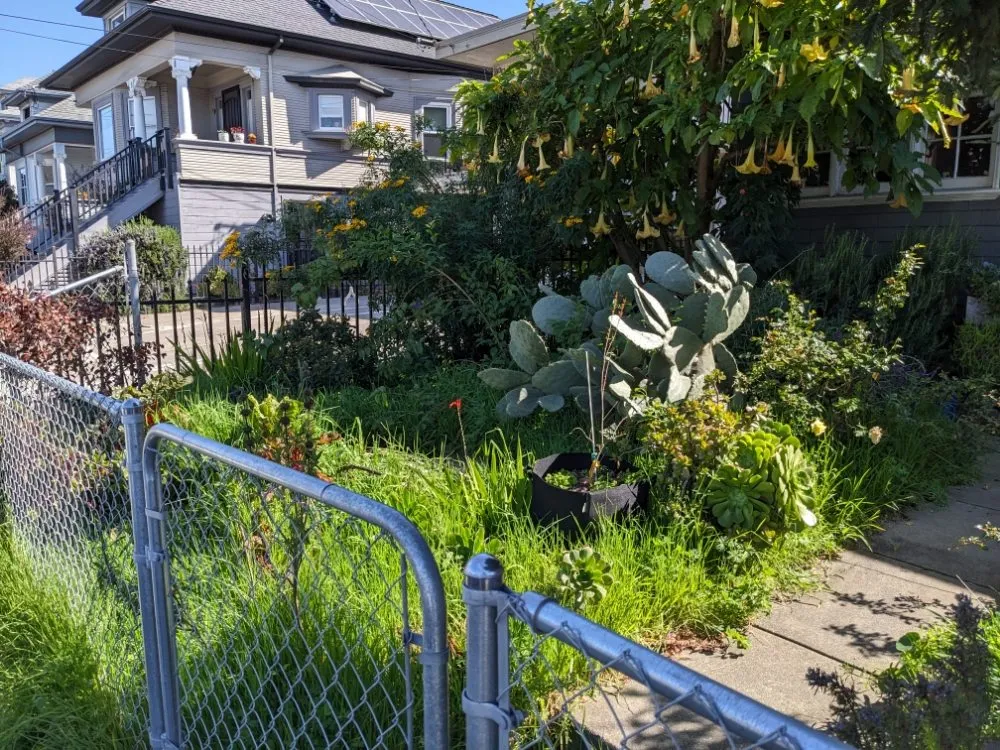 Affordable outdoor landscaping for outdoor upgrades in Richmond, CA by Great Green Gardening Service