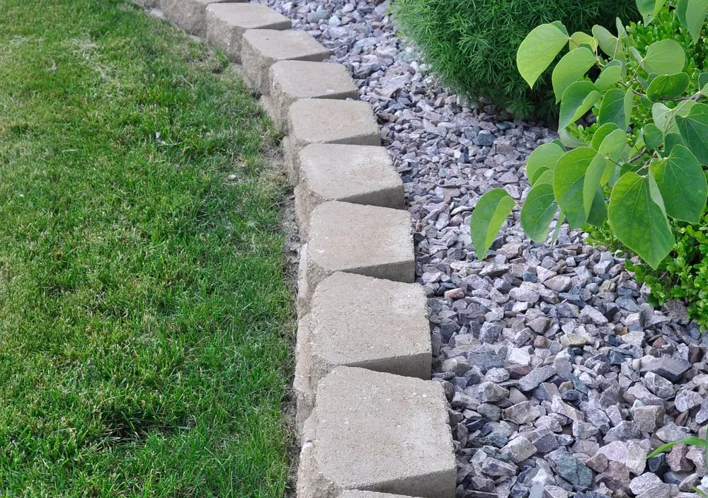 Top-rated yard cleanup service for year-round maintenance in Lady Lake, FL by Great Guys Lawn and Home Care