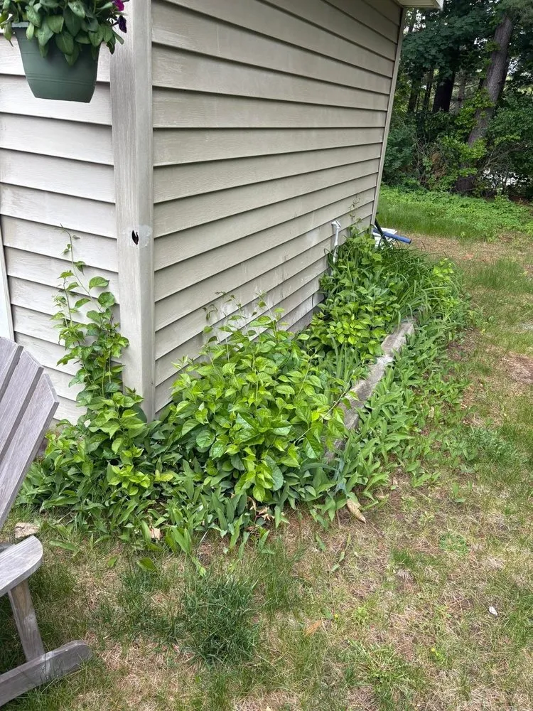 Top-rated landscaping services experts serving Sudbury, MA - Great Heights Landscaping