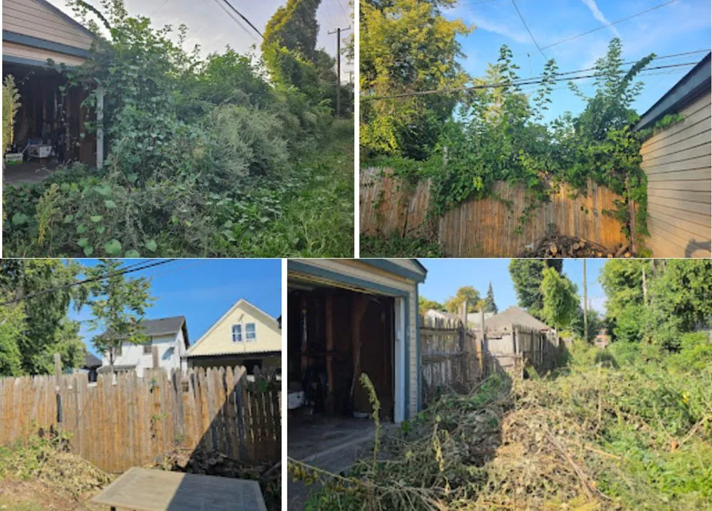 Reliable lawn care service for year-round maintenance across Dearborn, MI - Great Lakes Home Services