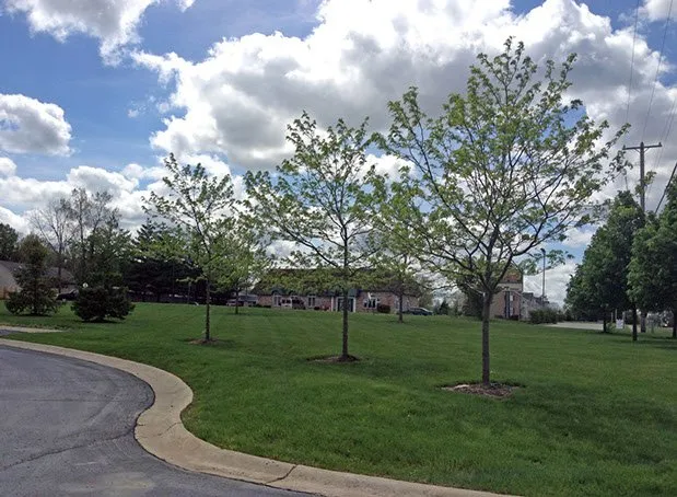 Custom lawn mowing service near you across Flint, MI - Great Lakes Landcare