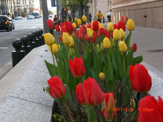 Affordable landscaping services for outdoor upgrades across Cleveland, OH - Great Lakes Landscaping