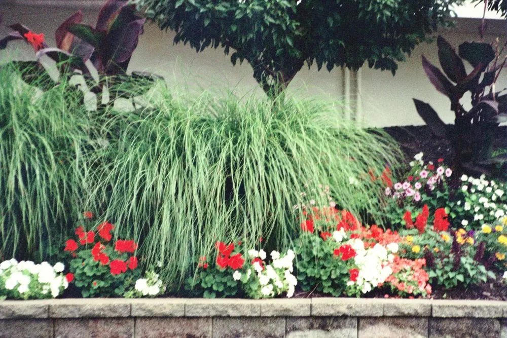 Professional landscape installation in Cleveland, OH - Great Lakes Landscaping