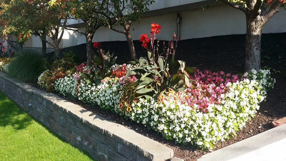 Trusted residential landscaping for year-round maintenance in Cleveland, OH by Great Lakes Landscaping