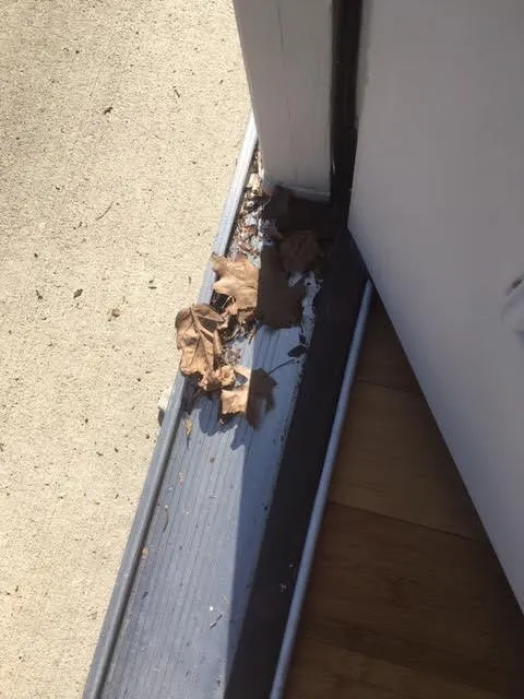 Trusted garden landscaping for homes across Traverse City, MI - Great Lakes Lawn & Landscapes